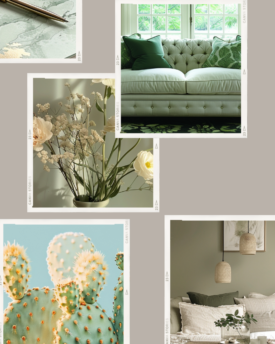 【再販OK】GREEN PHOTO STOCK